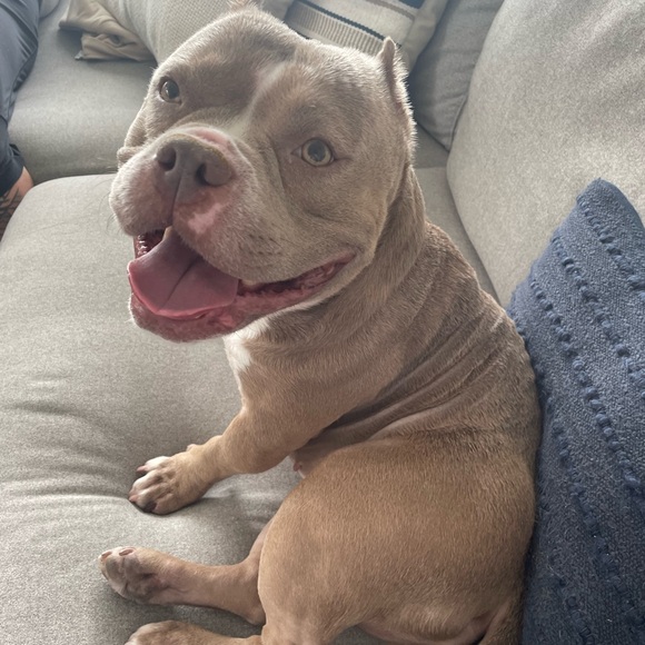 Meet your Posher, Tanya - Picture 1 of 1